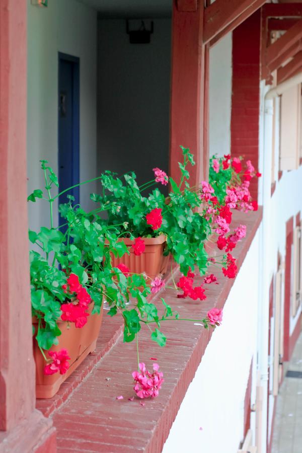 Boutik Hotel O'Domaine Chis Екстериор снимка